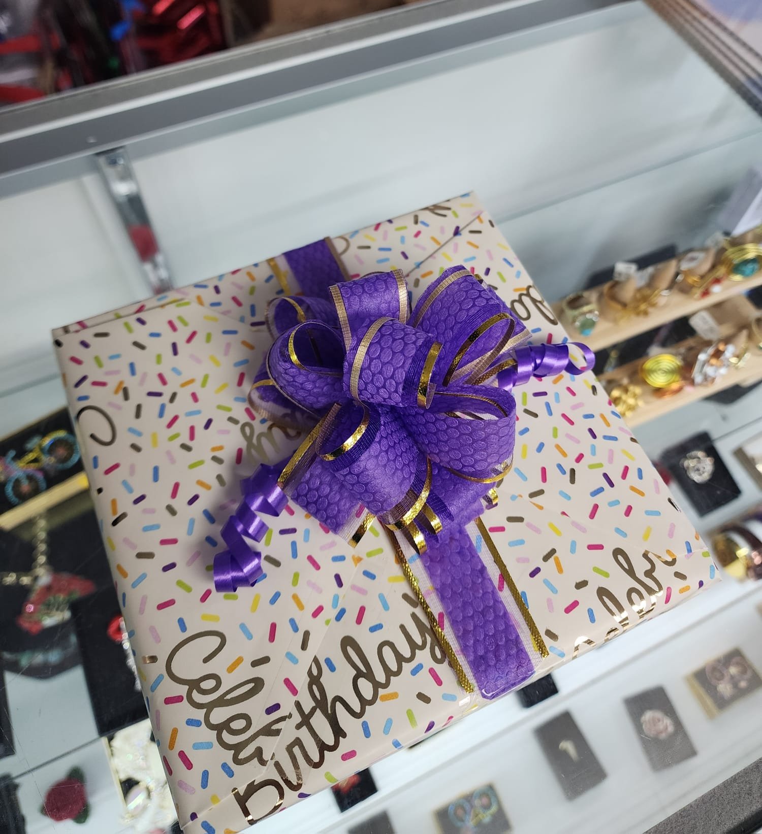 WhatsApp Image 2026-02-27 at 12.01.57 PM (2) (1)